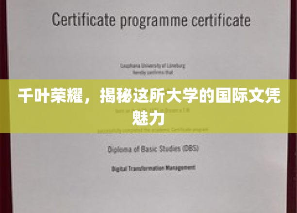 探寻千叶荣耀，国际文凭背后的大学魅力之谜