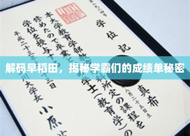 揭秘早稻田学霸的秘密武器，揭秘成绩单背后的学习秘籍