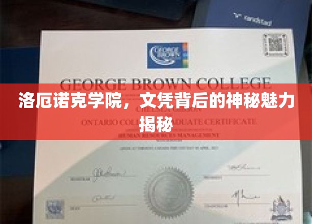 探寻洛厄诺克学院文凭背后的独特魅力之谜