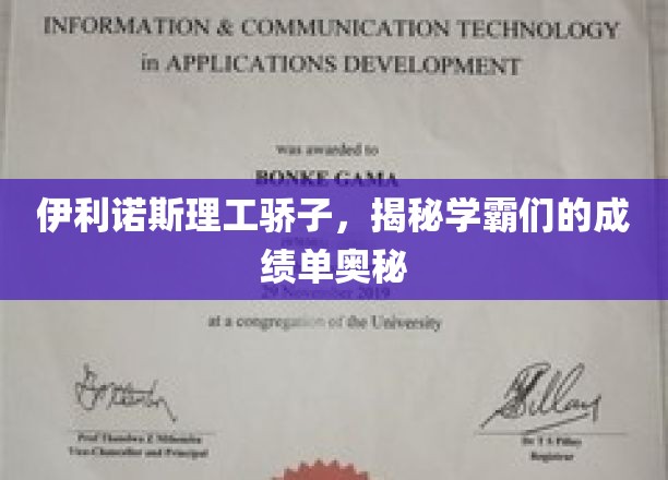 解码伊利诺斯理工学霸之路，揭秘高材生的学术秘籍