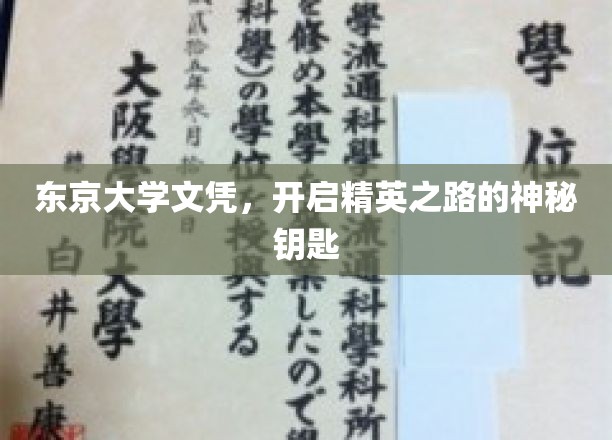 东京大学文凭，解锁未来精英梦想的神秘钥匙
