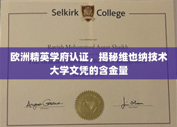 欧洲顶尖学府认可，维也纳技术大学文凭价值解析