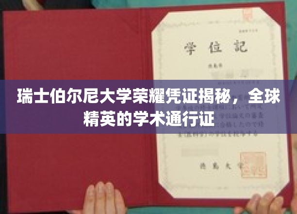 瑞士伯尔尼大学荣耀凭证揭秘，全球精英的学术通行证