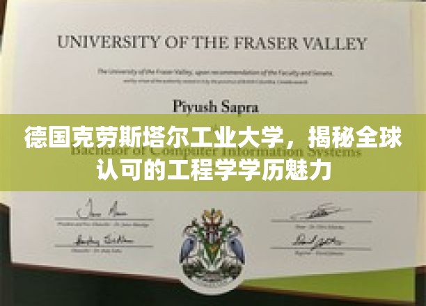 探秘德国克劳斯塔尔工业大学，全球工程学学历的璀璨明珠