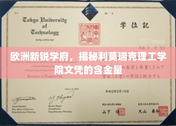 欧洲新锐学府，揭秘利莫瑞克理工学院文凭的含金量