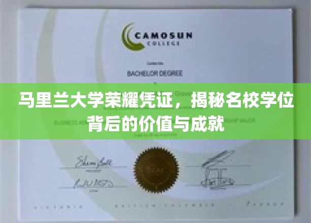马里兰大学荣耀凭证，揭秘名校学位背后的价值与成就