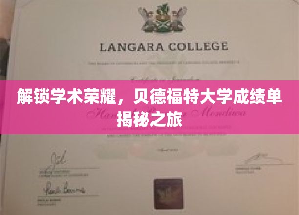 探索贝德福特大学成绩单背后的荣耀秘密