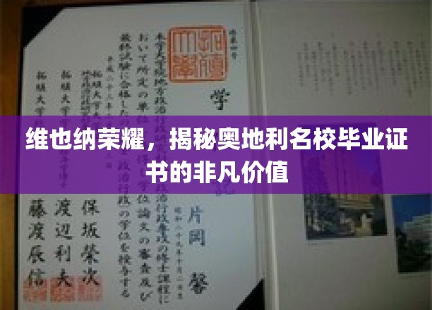 维也纳荣耀，揭秘奥地利名校毕业证书的非凡价值