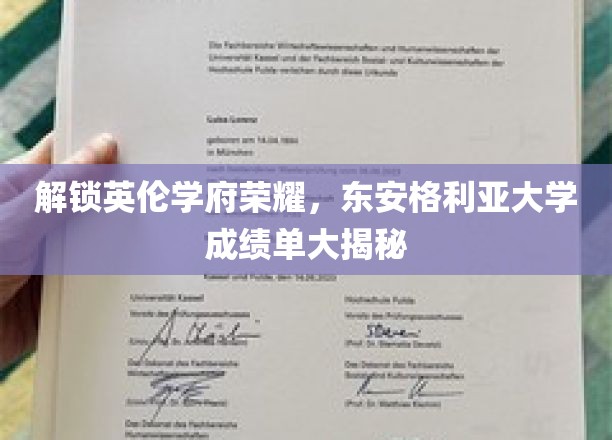 探寻东安格利亚大学卓越成就，揭秘学子荣耀之路