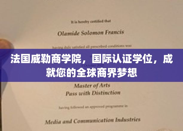 法国威勒商学院，国际认证学位，助您实现全球商界梦想