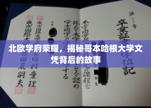 揭开哥本哈根大学荣耀光环，文凭背后的北欧智慧传承