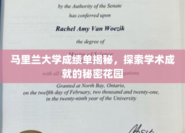 马里兰大学揭秘，成绩单背后的学术奥秘之地