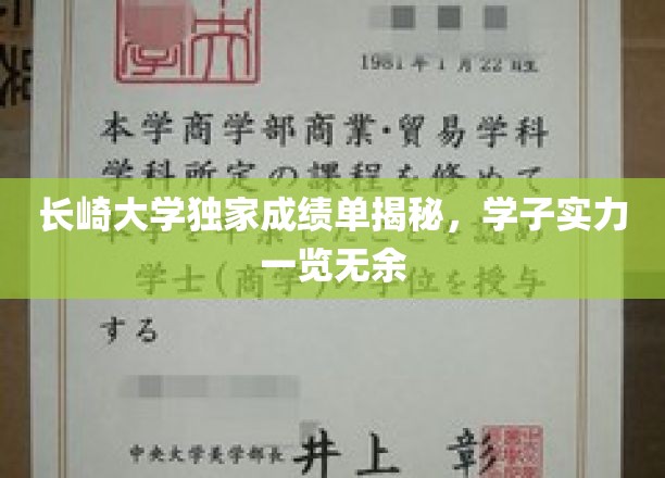 长崎大学精英风采大揭秘，成绩单背后的实力与荣耀