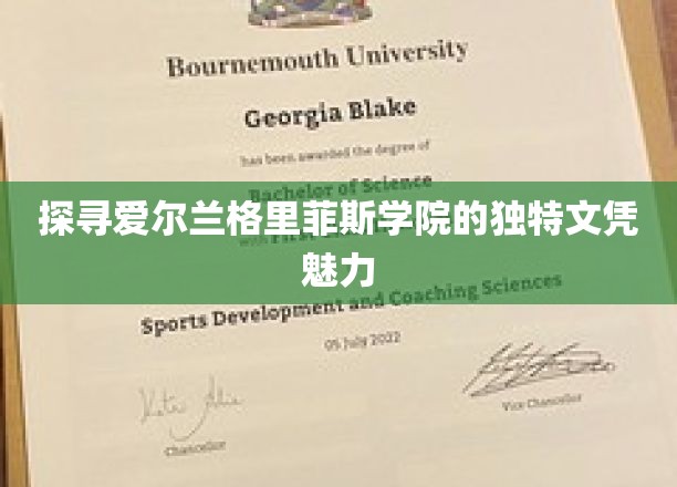 解锁格里菲斯学院爱尔兰分校的独门学历魅力