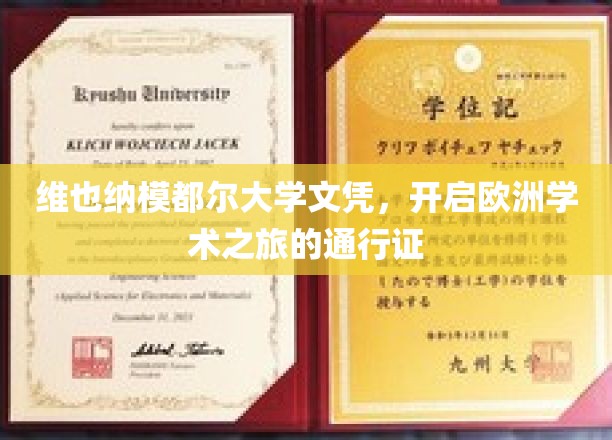 维也纳模都尔大学文凭，开启欧洲学术之旅的通行证