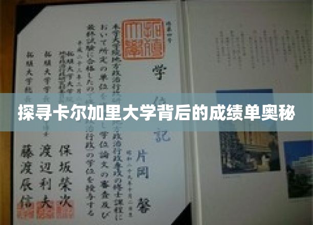 探寻卡尔加里大学背后的成绩单奥秘