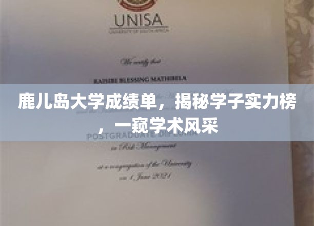 鹿岛学子实力大揭秘，成绩单背后的学术风采一览无余