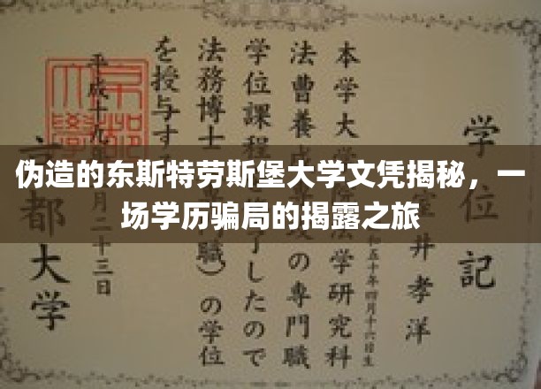 揭秘学历骗局，东斯特劳斯堡大学文凭伪造背后的惊人真相
