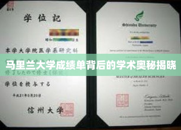 马里兰大学成绩单背后的学术奥秘揭晓