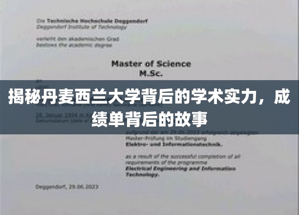 探秘丹麦西兰大学的学术魅力，揭秘那些鲜为人知的教育成就