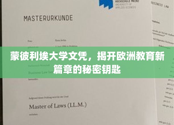 探索蒙彼利埃大学文凭，解锁欧洲教育革新之门的神秘钥匙