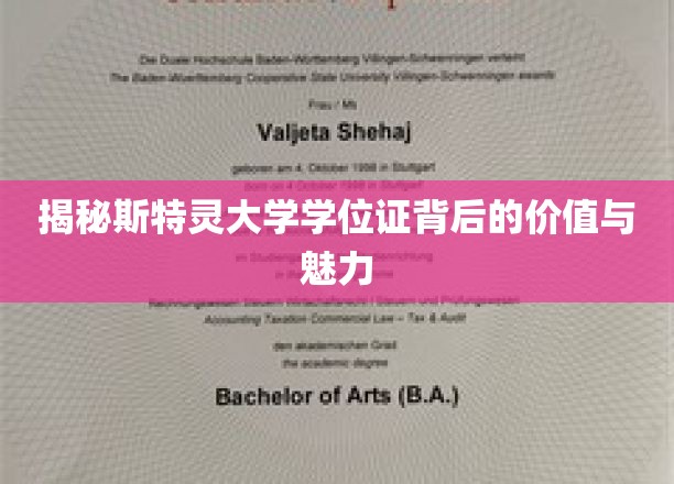 斯特灵学位证书，揭开学术荣耀背后的独特魅力