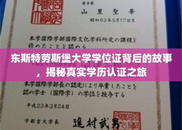 探索东斯特劳斯堡大学学位证的神秘旅程，揭开学历认证的奥秘