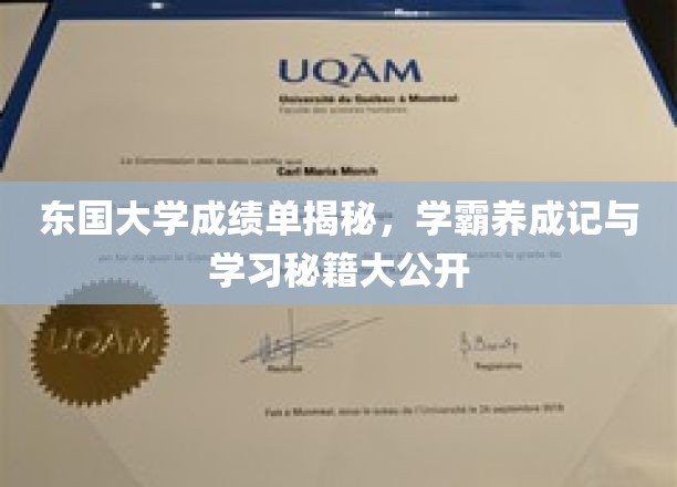 解锁学霸秘境，东国大学成绩单背后的学习奥秘大公开