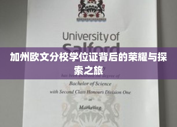 解码加州欧文，学位证背后的辉煌征程