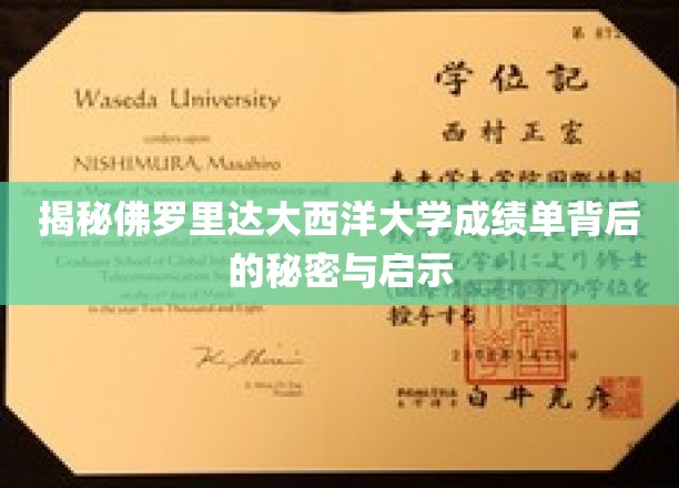 揭秘佛罗里达大西洋大学成绩单背后的秘密与启示