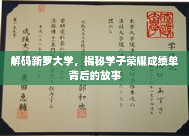解码新罗大学，揭秘学子荣耀成绩单背后的故事