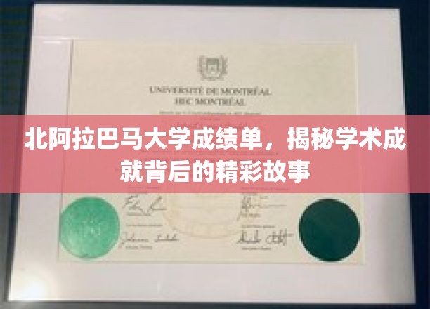 北阿拉巴马大学成绩单，揭秘学术成就背后的精彩故事