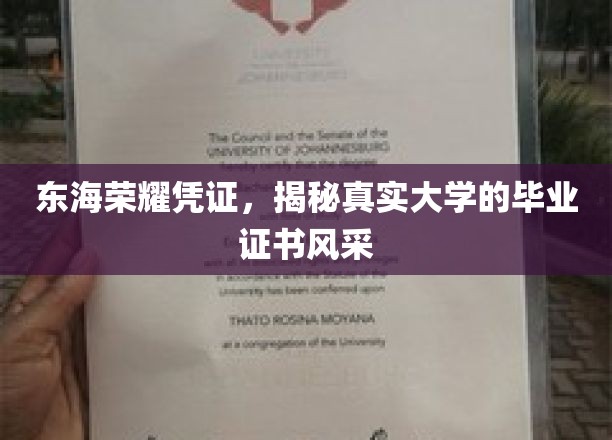 东海荣耀见证，一探究竟的大学毕业证书风采