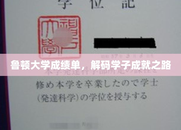 鲁顿大学成绩单，解读学子成就之路