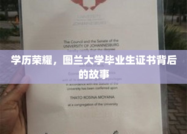 图兰荣耀，揭秘学历背后的传奇毕业生