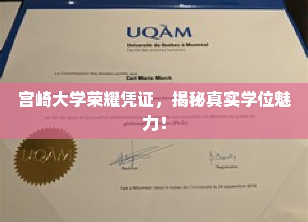 宫崎大学荣耀凭证，揭秘真实学位魅力！