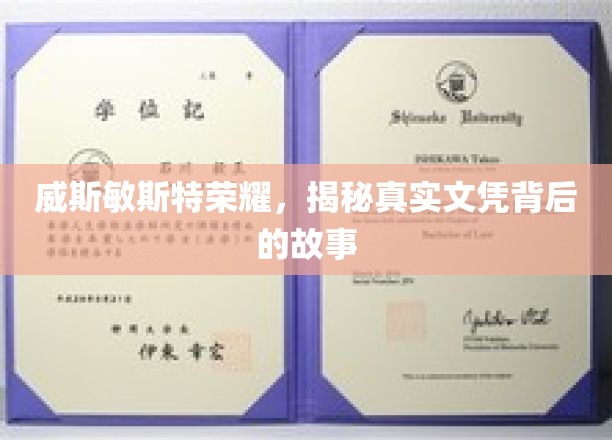 威斯敏斯特荣耀，揭秘真实文凭背后的故事