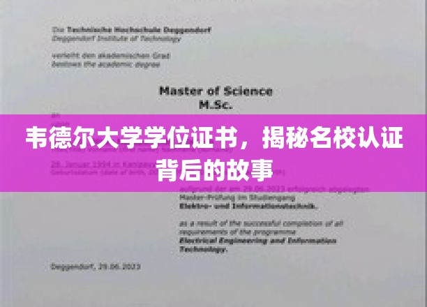 探寻韦德尔大学学位证书的认证传奇