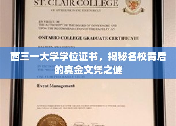 揭秘西三一大学，探寻真金文凭背后的名校传奇