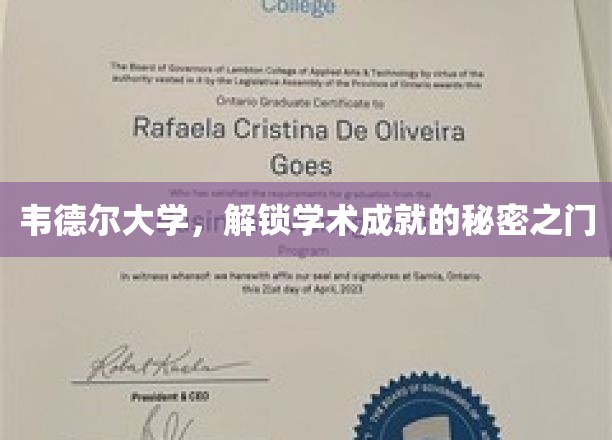 韦德尔大学，解锁学术成就的秘密之门