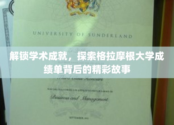 揭开格拉摩根大学成绩单的学术奥秘之旅
