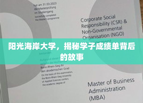 阳光海岸大学，揭秘学子成绩单背后的故事