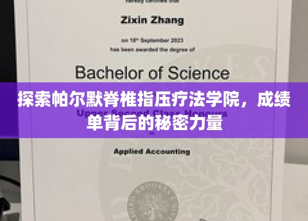 揭秘帕尔默脊椎指压疗法学院，培养卓越疗师的神秘驱动力
