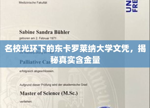 东卡罗莱纳大学文凭背后，揭秘名校光环下的真实价值