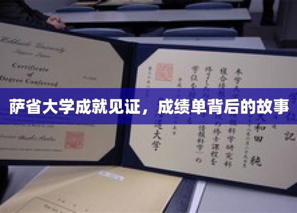 探寻萨省大学辉煌成就背后的精彩篇章