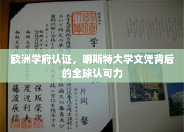 欧洲学府认证，明斯特大学文凭背后的全球认可力