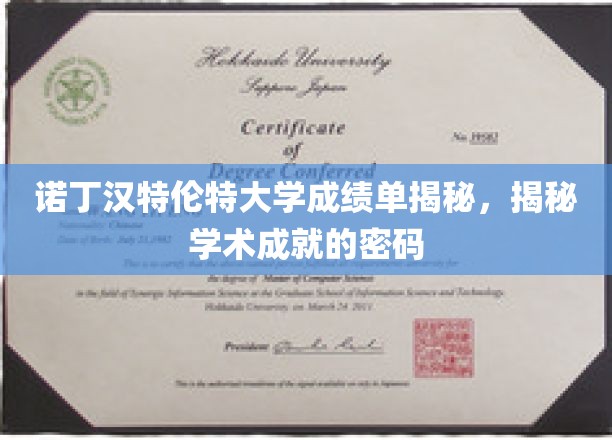 解码诺丁汉特伦特大学成绩单，揭秘学术成就的密钥