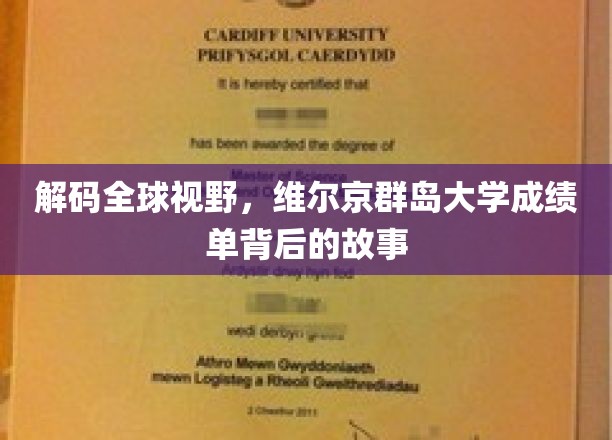 解码全球视野，维尔京群岛大学成绩单背后的故事