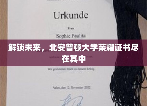 开启梦想之门，北安普顿大学荣耀证书全景解析