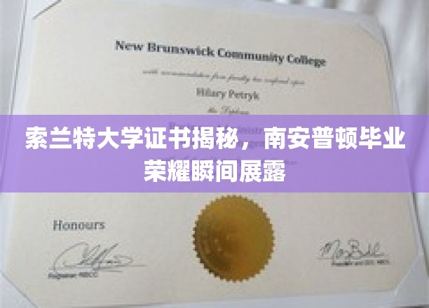 索兰特大学证书揭秘，南安普顿毕业荣耀瞬间展露